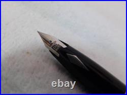 Big Size Shaft Platinum Fountain Pen Nib Fine Point Pt Alloy Engraved Silver