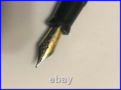 Delta 365 Golden Amber Fountain Pen Nib18K Fine Point
