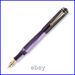 Delta Write Balance Fountain Pen in Purple Flexible Fine Point NEW in Box