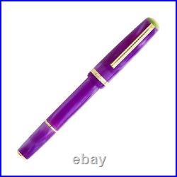Esterbrook JR Paradise Fountain Pen in Purple Passion Fine Point NEW in Box