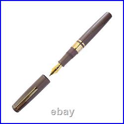 Esterbrook Model J Fountain Pen in Violet with Gold Trim Fine Point NEW