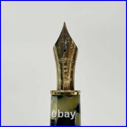 Fountain Pen Platinum Century 3776 Celluloid Stone Wall Pattern 18K Fine Point