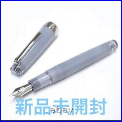 Hachimonjiya Ginzan Snow Gray Fountain Pen Extra Fine Point EF