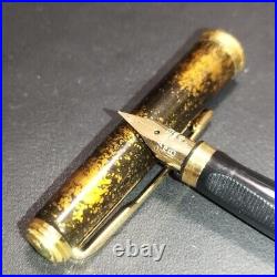 PARKER Fountain Pen Bisonfonce Genuine Lacquer Urushi Pattern Fine Point