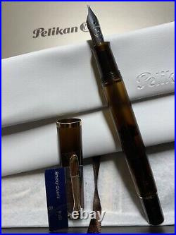 Pelikan Classic M200 Fountain Pen in Smoky Quartz Demonstrator Fine Point