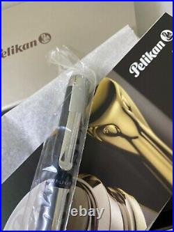 Pelikan Pura Series P40 Black & Silver Fine Point Fountain Pen 904888