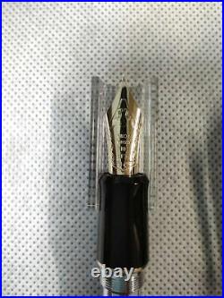 Pilot Fountain Pen Custom 742 Fine Point Japan seller
