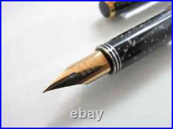 Pilot Fountain Pen Lady Mottled Pattern 18K Fine Point (F) 1970 Used Super Rare