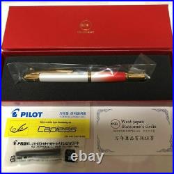 Pilot Namiki Fountain Pen Vanishing Point Nipponia Japan Nib Gold 18K Fine