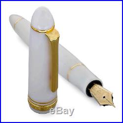 Sailor 1911 Large Fountain Pen White Gold Trim 21K Fine Point 11-2021-210