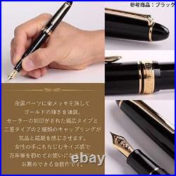 Sailor Fountain Pen Profit Standard 21 Black Fine Point 11-1521-220 Japan-FedEx