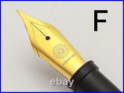 WANCHER Fountain Pen Dream Pen Marble Green F Fine Point WF-EB-DREAM-DGN